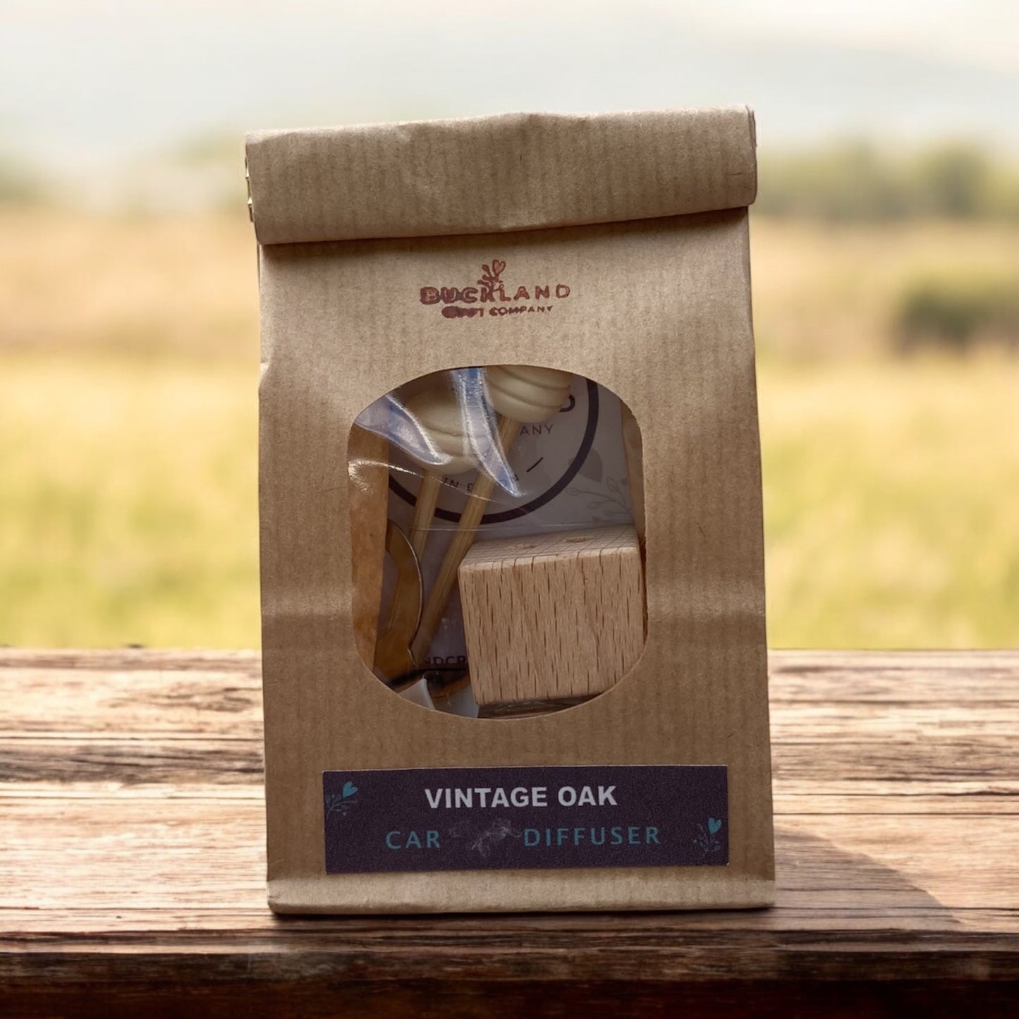 Refillable Car Air Diffuser