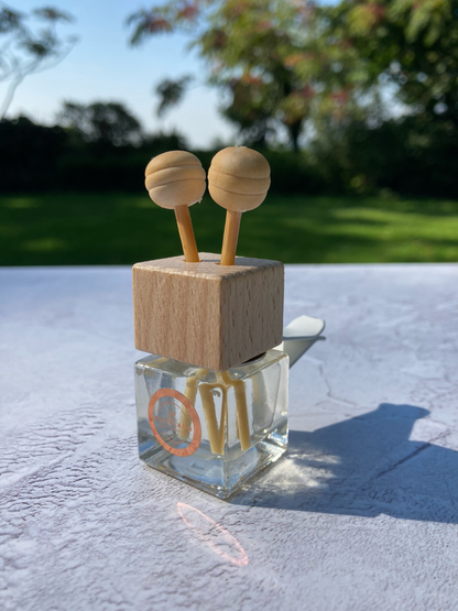 Refillable Car Air Diffuser