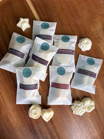 Festive Wax Melts 2pk SALE