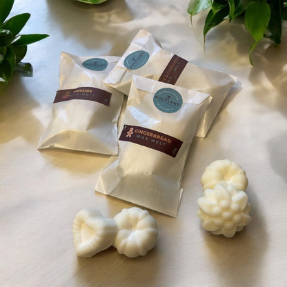 Festive Wax Melts 2pk SALE