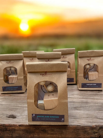 Refillable Car Air Diffuser